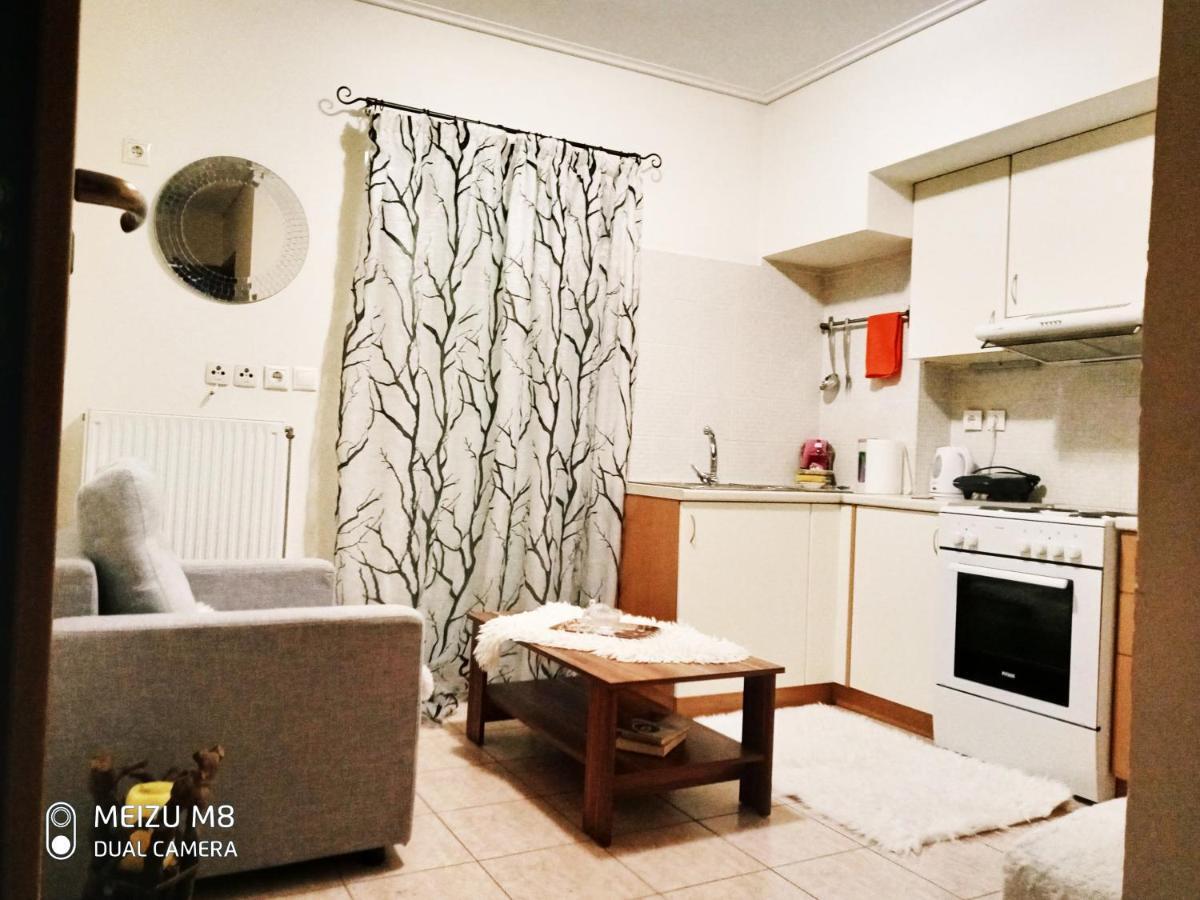 Φωτεινό Διαμέρισμα Πειραιας Apartment Piraeus Bagian luar foto